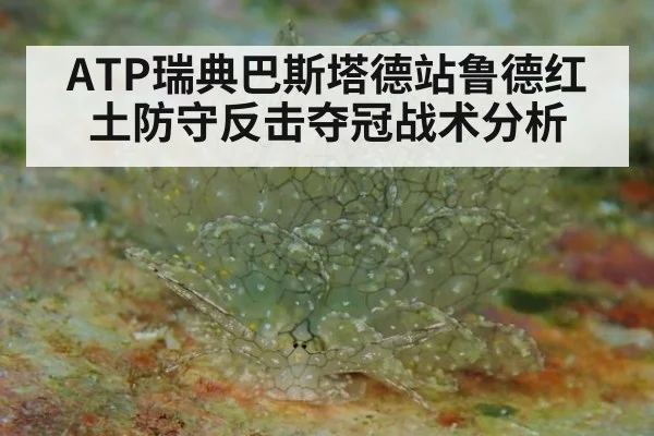 ATP瑞典巴斯塔德站鲁德红土防守反击夺冠战术分析