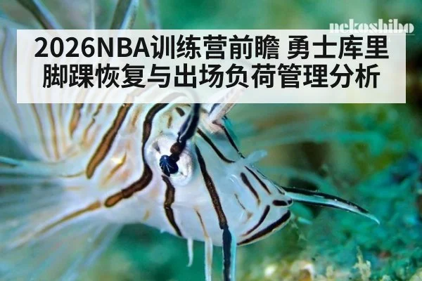 2026NBA训练营前瞻 勇士库里脚踝恢复与出场负荷管理分析