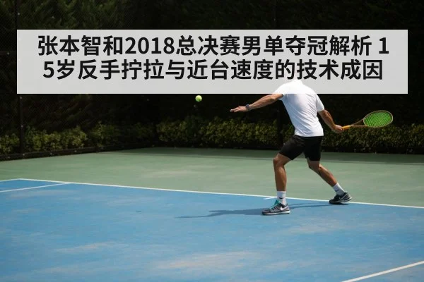 张本智和2018总决赛男单夺冠解析 15岁反手拧拉与近台速度的技术成因
